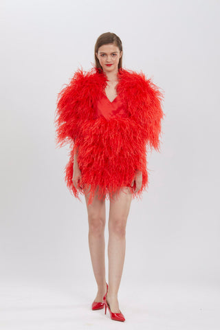 SGinstar Jenny Red Ostrich Feather Mini Dress